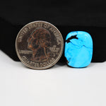 Buffalo Cushion Cabochon 18x14mm 9ct - Blue with Black Corner - Pedra Gems