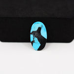 Buffalo Freeform Cabochon 18x18mm 5.5ct - Blue with Black Portion - Pedra Gems