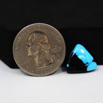 Buffalo Triangular Cabochon 12x14mm 4ct - Blue with Black Base - Pedra Gems