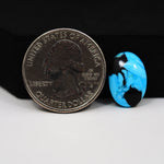 Buffalo Oval Cabochon 17x12mm 5.5ct - Blue with Black Patch - Pedra Gems