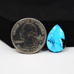 Buffalo Pear Cabochon 18x14mm 7.5ct - Blue with Black Patch - Pedra Gems