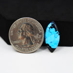 Buffalo Marquise Cabochon 21x10mm 4ct - Blue with Black Tip - Pedra Gems
