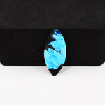 Buffalo Marquise Cabochon 21x10mm 4ct - Blue with Black Tip - Pedra Gems