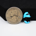 Buffalo Oval Cabochon 16x11mm 4.5ct - Black with Blue Band - Pedra Gems