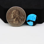 Buffalo Round Cabochon 14x14mm 6ct - Blue Solid - Pedra Gems
