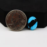 Buffalo Oval Cabochon 15x11mm 4.5ct - Blue with Black Band - Pedra Gems