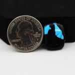 Buffalo Round Cabochon 19x14mm 9ct - Black with Blue Patch - Pedra Gems