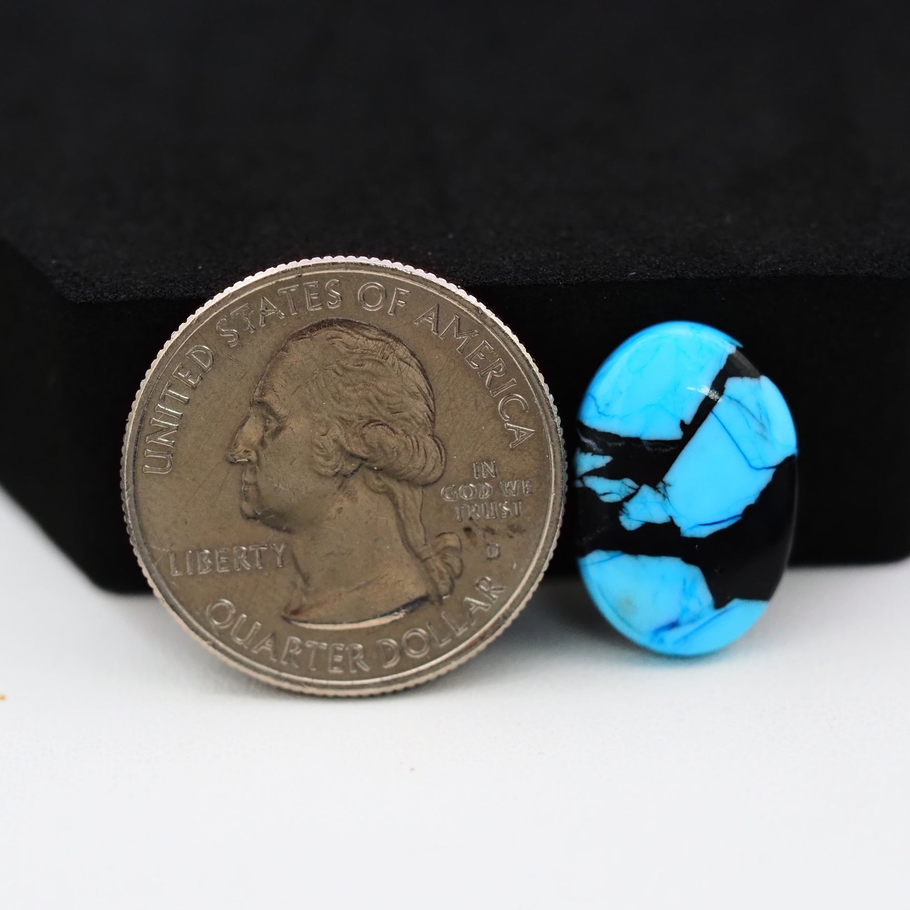 Buffalo Oval Cabochon 18x13mm 6.5ct - Blue with Black Band - Pedra Gems