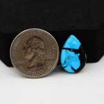 Buffalo Pear Cabochon 18x13mm 7.5ct - Black Top Blue Base - Pedra Gems