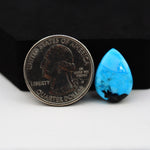 Buffalo Oval Cabochon 18x13mm 11.5ct - Blue with Black Corner - Pedra Gems
