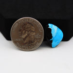 Buffalo Pear Cabochon 18x13mm 7ct - Black with Blue Base - Pedra Gems