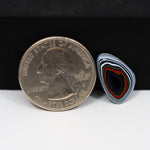Fordite Agate Cabochon Freeform 17x11mm 1.5ct - Detroit Agate layered paint - Pedra Gems
