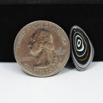 Fordite Agate Cabochon Freeform 20x10mm 2ct - Detroit Agate layered paint - Pedra Gems