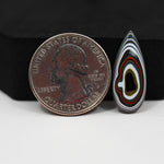 Fordite Agate Cabochon Pear 23x9mm 2ct - Detroit Agate layered paint - Pedra Gems