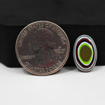 Fordite Agate Cabochon Oval 16x5mm 2ct - Detroit Agate layered paint - Pedra Gems