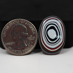 Fordite Agate Cabochon Oval 26x18mm 15ct - Detroit Agate layered paint - Pedra Gems