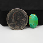 Natural Mohave Turquoise Oval Cabochon 16x10mm 4.5ct - Green - Pedra Gems