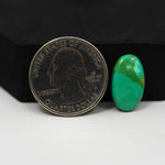 Natural Mohave Turquoise Oval Cabochon 17x10mm 4ct - Green - Pedra Gems