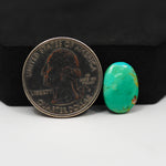 Natural Mohave Turquoise Oval Cabochon 15x11mm 4.5ct - Green - Pedra Gems