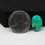 Natural Mohave Turquoise Oval Cabochon 18x12mm 6.5ct - Blue Green Rust Matrix - Pedra Gems