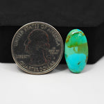 Natural Mohave Turquoise Oval Cabochon 20x11mm 5.5ct - Green - Pedra Gems