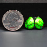 Peacock Dahlia composite pair 15x10x3mm 10ct pear cabochon - photo 1