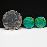 Mohave Buffalo composite pair 14x14x3mm 10ct round cabochon Kingman - photo 1