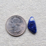 Natural Sodalite Freeform Cabochon 20x10mm 5.5ct - Royal Blue with White Calcite Veining - Pedra Gems
