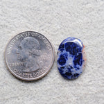 Natural Sodalite Oval Cabochon 20x14mm 4.5ct - Royal Blue with White Calcite Veining - Pedra Gems