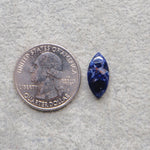 Natural Sodalite Marquise (Navette) Cabochon 16x8mm 3ct - Royal Blue with White Calcite Veining - Pedra Gems