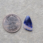Natural Sodalite Freeform Cabochon 20x12mm 5ct - Royal Blue with White Calcite Veining - Pedra Gems