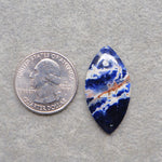 Natural Sodalite Marquise (Navette) Cabochon 33x17mm 15ct - Royal Blue with White Calcite Veining - Pedra Gems