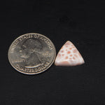 Natural Pink Natrolite (Thomsonite) Trillion Cabochon 14x14x4mm 4.5ct - view 1 - Pedra Gems