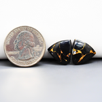 Kingman Black Buffalo Copper Composite Trillion Cabochon Pair 24x14x4mm 11.5ct - black stone with bright copper veins - Pedra Gems