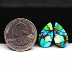 Peacock Dahlia composite pair 17x10x3mm 11.5ct pear cabochon - photo 1