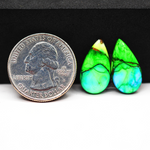 Peacock Dahlia composite pair 19x10x3mm 11ct pear cabochon - photo 1