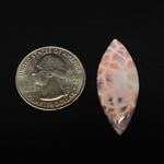 Natural Pink Natrolite (Thomsonite) Marquise Cabochon 35x14x3mm 11ct - view 1 - Pedra Gems