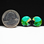 Mohave Buffalo composite pair 14x14x3mm 9.5ct round cabochon Kingman - photo 1