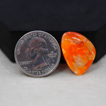 Natural Orange Calcite Trillion Cabochon 23x17mm 14ct - warm honey-orange - Pedra Gems.
