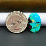 Mohave Turquoise & White Buffalo Oval Cabochon 21x14mm 8ct - Blue and Green with Black Wedge - Pedra Gems