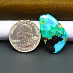 Mohave Turquoise & White Buffalo Freeform Cabochon 31x18mm 15ct - Blue and Green with Black Cap - Pedra Gems