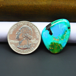 Mohave Turquoise & White Buffalo Freeform Cabochon 26x20mm 14ct - Blue and Green with Black Notch - Pedra Gems