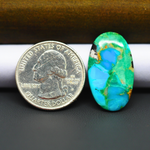 Mohave Turquoise & White Buffalo Oval Cabochon 27x16mm 12.5ct - Green and Blue with Golden Matrix - Pedra Gems
