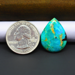 Mohave Turquoise & White Buffalo Pear Cabochon 24x19mm 12.5ct - Green and Blue with Golden Matrix - Pedra Gems