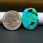 Mohave Turquoise & White Buffalo Oval Cabochon 28x13mm 16.5ct - Blue with Black Tip - Pedra Gems