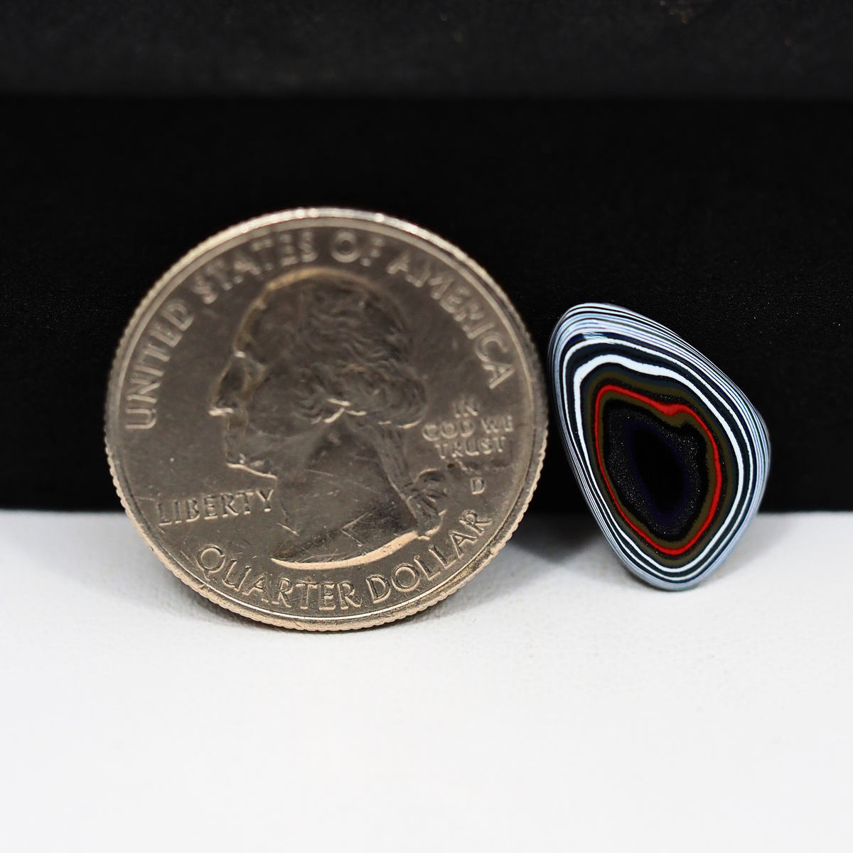 Fordite Agate Cabochon 17x11mm 1.5ct Freeform