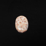 Natural Pink Natrolite (Thomsonite) Oval Cabochon 17x12x5mm 6ct - view 2 - Pedra Gems