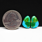 Mohave Buffalo composite pair 15x10x3mm 8ct freeform cabochon Kingman - photo 1