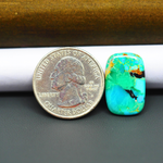 Mohave Turquoise & White Buffalo Cushion Cabochon 21x13mm 9ct - Green and Blue with Black Vein - Pedra Gems