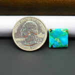 Mohave Turquoise & White Buffalo Square Cabochon 13x13mm 6.5ct - Blue and Green - Pedra Gems